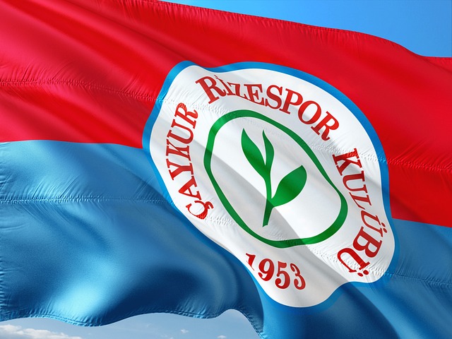 深圳队成功 深圳队成功