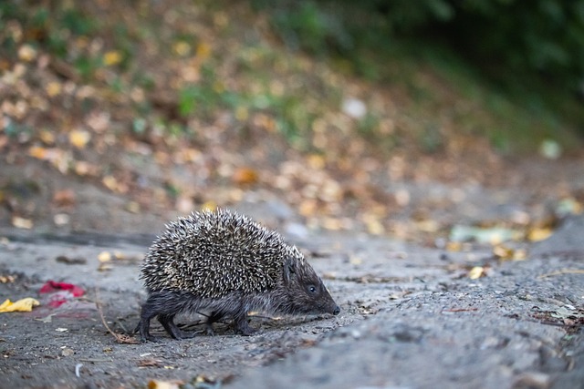 更加令人深 更加令人深