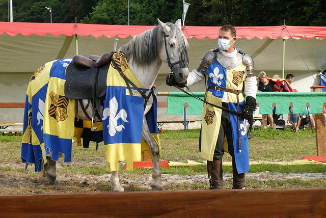 这些案例表 这些案例表